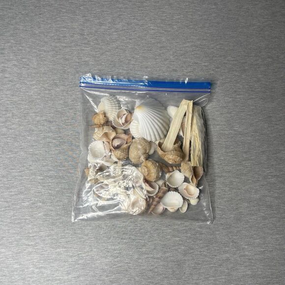 Target Threshold Beach Sea Shells Vase Filler Decor - Picture 2 of 5